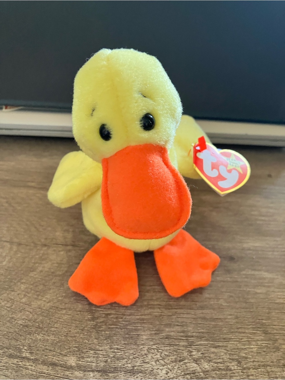 TY Plush Quakers Beanie Baby